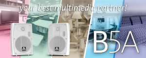 Активная двухполосная акустическая система Amate Audio B5A