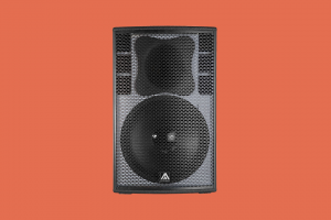 Пассивная акустическая система Amate Audio X15D