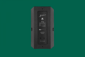 Пассивная акустическая система Amate Audio X15D